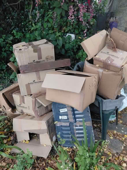 Photo of free Packing boxes (Cowley OX4) #1