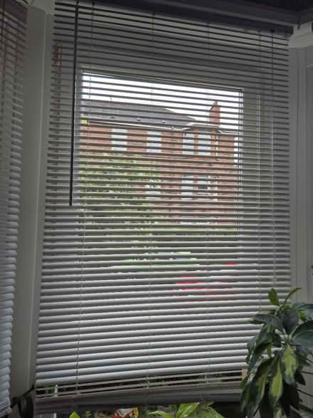 Photo of free Venetian blinds (Shawlands G41) #1