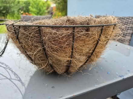 Photo of free Two hanging baskets (Worle BS22) #2