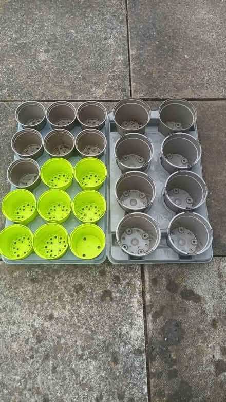 Photo of free Trays of Plant Pots (Oakwood, Derby) #1