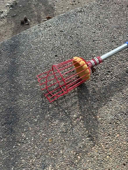Photo of free Fruit picker pole (San Jose California) #3