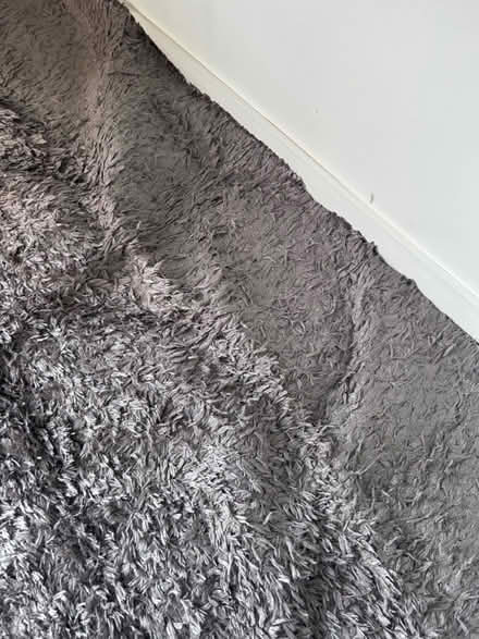Photo of free Rug (KT13) #2