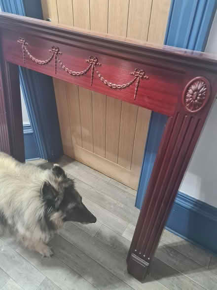 Photo of free Fire surround (CH45) #2