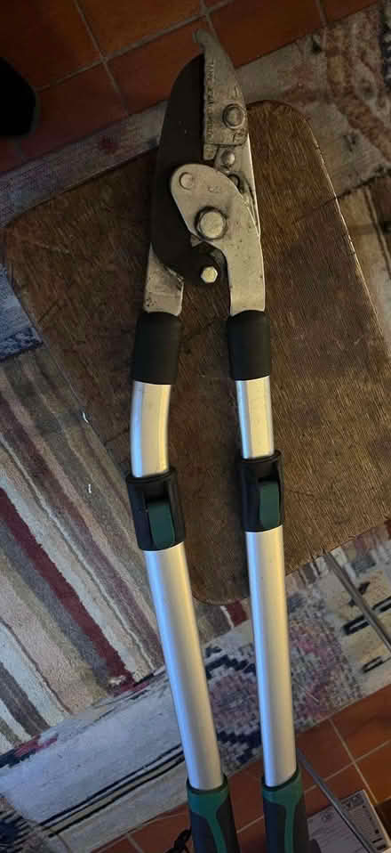 Photo of free Extendable Secateurs (islington N1) #2