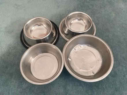 Photo of free 4 dog bowls! (Earley RG6) #1