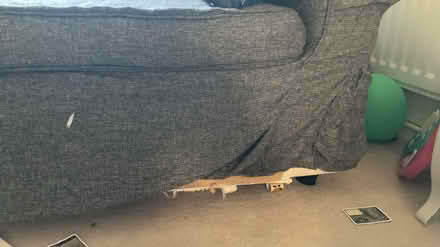 Photo of free Sofa bed (Rg31) #4