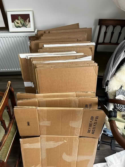 Photo of free Moving boxes and paper (E17) #1