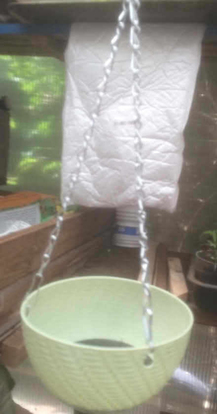 Photo of free 4number hanging small baskets (B61 Bournheath) #1