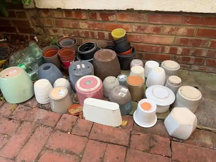 Photo of free Mix of plant pots (Virginia water) #1