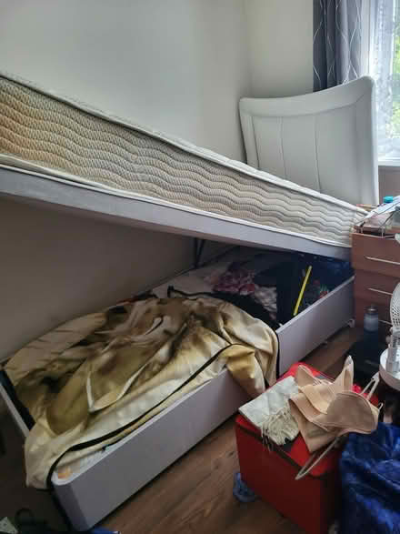 Photo of free Single bed and mattress (Croydon) #2