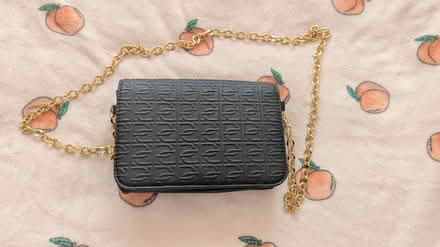 Photo of free Small party bag (SE25) #1