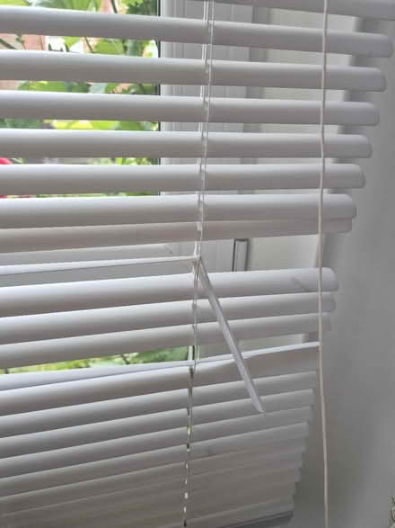 Photo of free Venetian blinds (Shawlands G41) #2