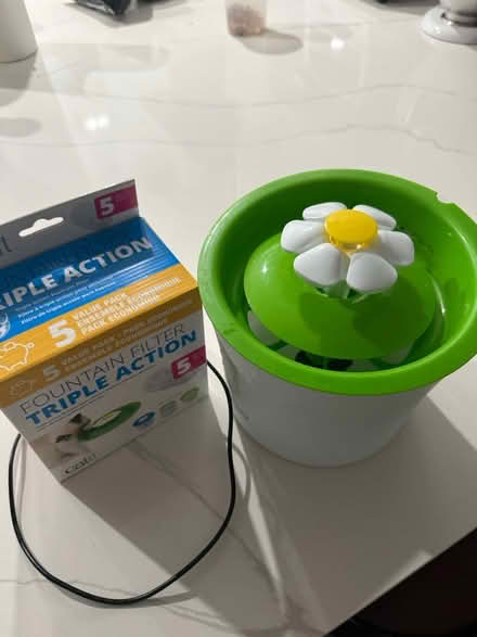 Photo of free Cat Water Fountain (Jones Hill/Dorchester) #1