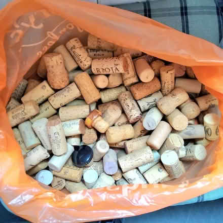 Photo of free Bag of used corks (Ilton TA19) #1