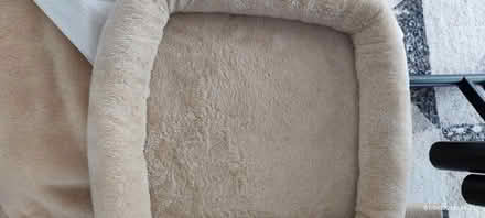 Photo of free Used cat tree (Killiney) #4