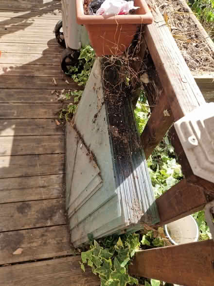 Photo of free Greenhouse Glass (Woodlands Park MK41) #2