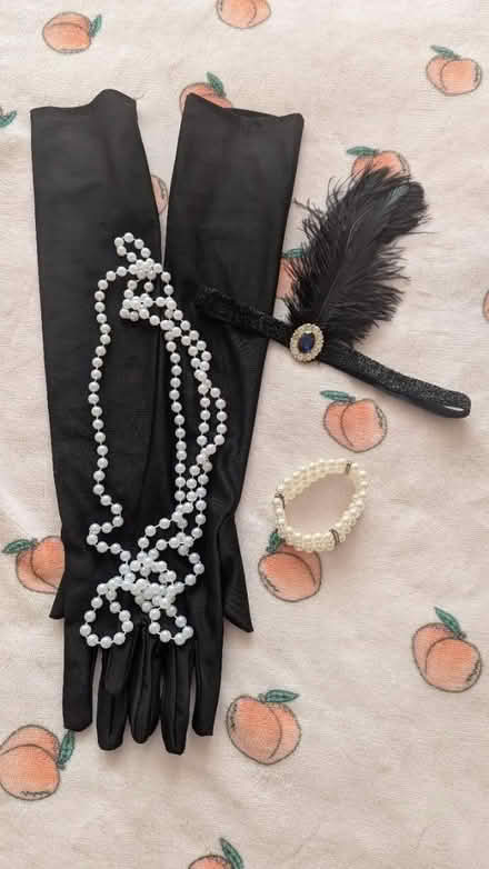 Photo of free Charleston accessories (SE25) #1