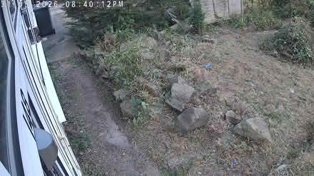 Photo of free Rocks (BD21PU BD2) #3
