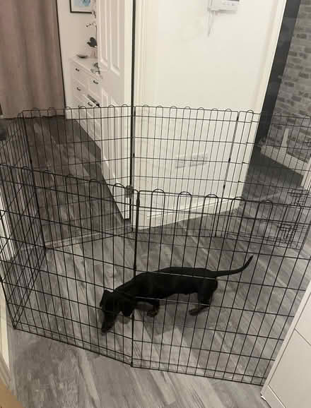 Photo of free Dog play playpen crate (BS7) #2