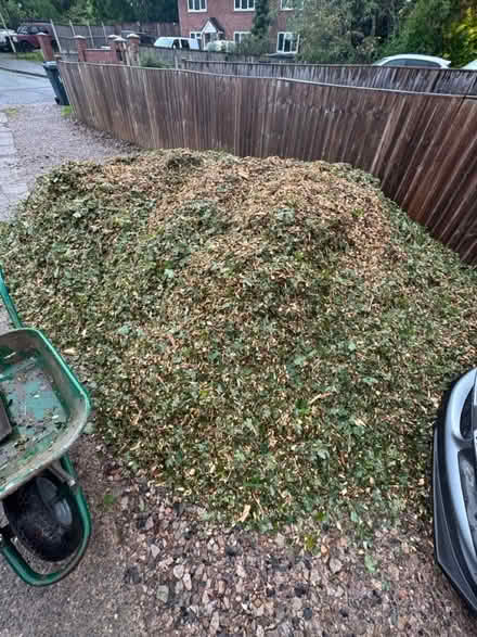Photo of free Wood chip (Grafton, Shrewsbury) #1