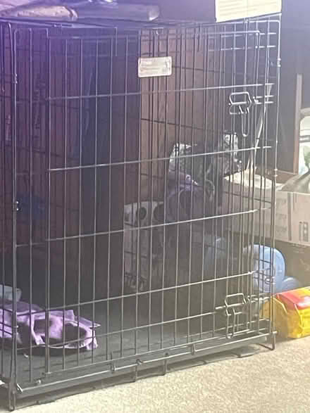 Photo of free large dog cage (Carol stream) #2
