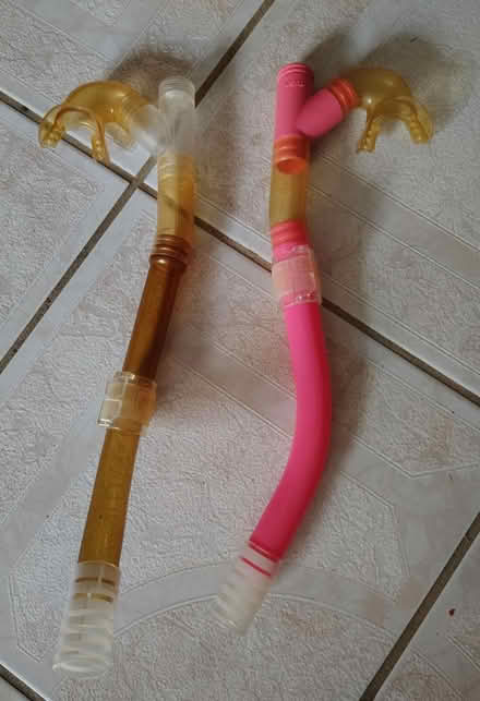 Photo of free Pair of snorkels (West Kendall) #1
