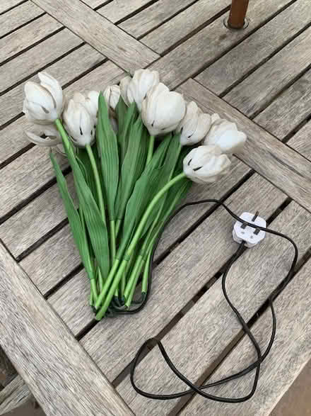 Photo of free Tulip lamp (Haslemere GU27) #1