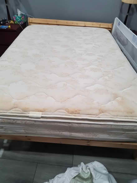 Photo of free Bed frame and mattress (Los Gatos) #2
