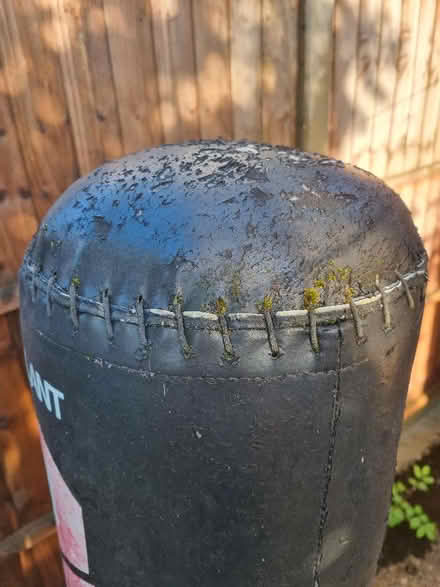 Photo of free Freestanding Punchbag (Kensal Rise/Green NW10) #4