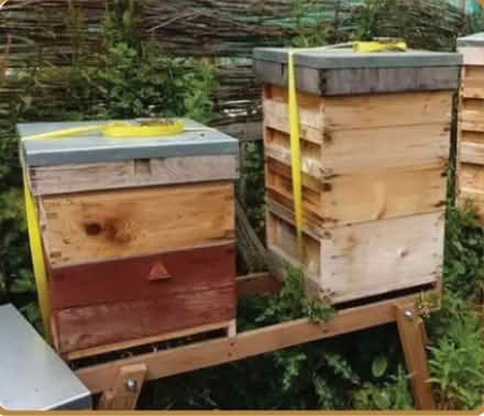 Photo of bee keeping supplies (ME20) #1