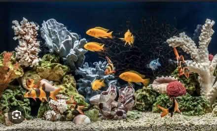 Photo of Fish tank (Home SL6) #1