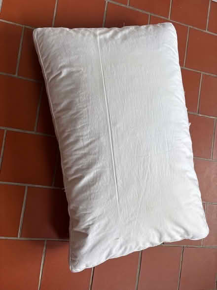 Photo of free Feather pillow. (Bilton CV22) #1