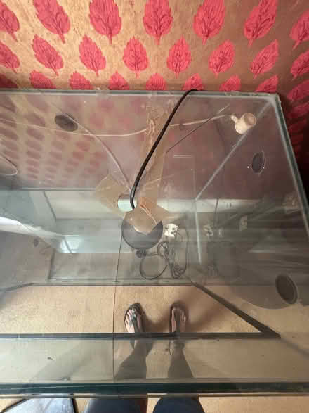 Photo of free Glass vivarium (Camberley GU15) #1
