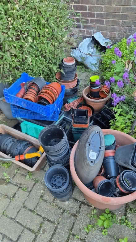 Photo of free Plant Pots, Various Shapes & Sizes (Aston S26) #1