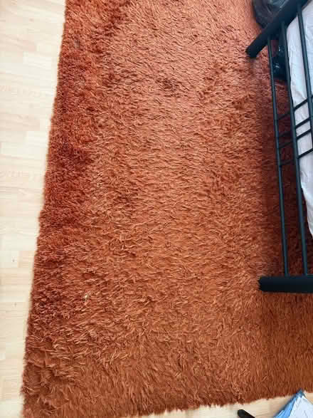 Photo of free Large Copper / Orange Rug - There’s been no pets or smoking (Eastfields CR4) #1
