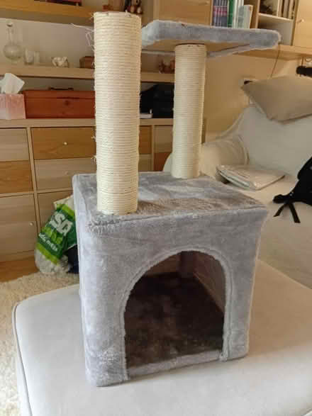 Photo of free Cat Scratching Post (Shoebury SS3) #1