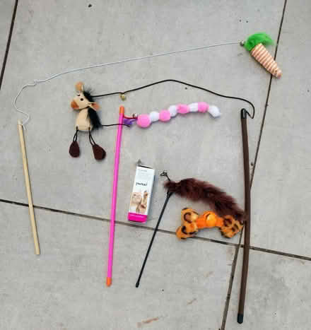 Photo of free Various cat items (Hereford HR4) #1