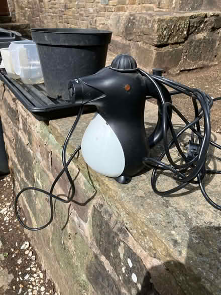 Photo of free Electric steamer (Whittle Springs PR6) #1