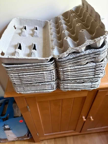 Photo of free Egg cartons-size 18 eggs (Groton, Cow Pond) #1