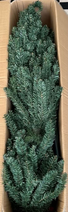 Photo of free 6ft Pencil Christmas Tree (Thornton Heath CR7 8) #2