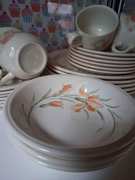 Photo of free Lovely dinner service (Moor Side HX2) #2