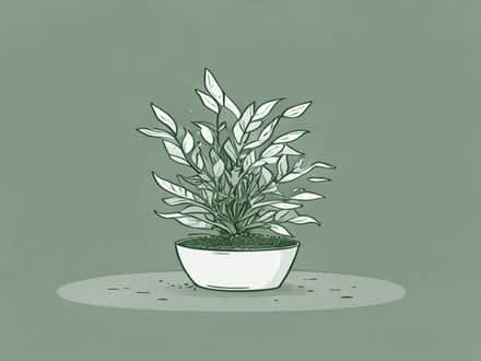 Photo of Live aquarium plant trimmings (Kittybrewster AB24) #1