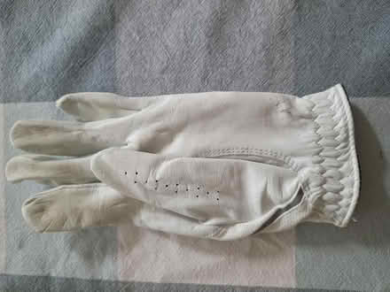 Photo of free Golf leather glove (Hayling Island PO11) #2