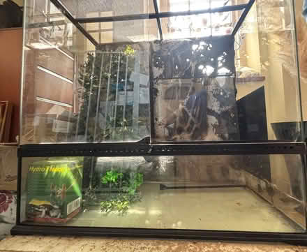 Photo of free Vivarium (Camberley GU15) #2