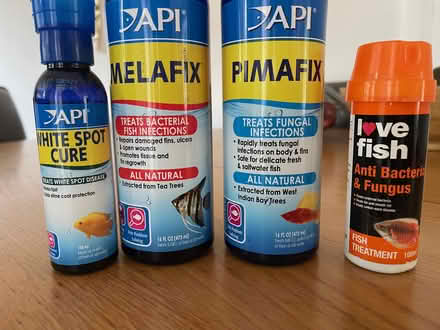 Photo of free Fish treatment (L14 Dovecot) #2