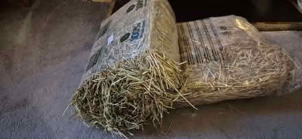 Photo of free Hay (Shepherds Bush W12) #1