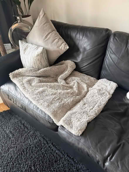 Photo of free John Lewis sofa bed (Greenwich SE10) #4