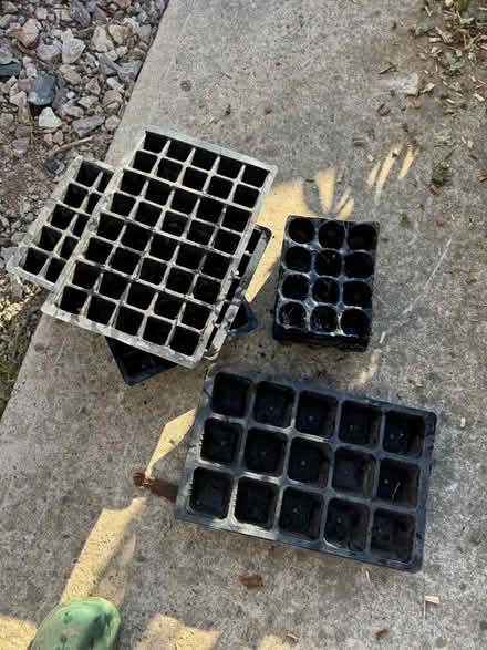 Photo of free X11 various sized seed trays (Grafton, Shrewsbury) #1