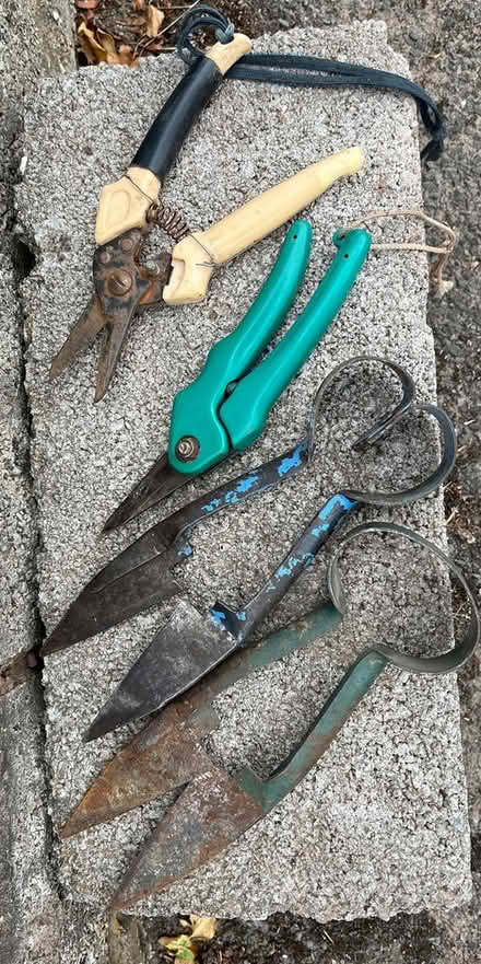 Photo of free Shears (south hereford 3miles) #1