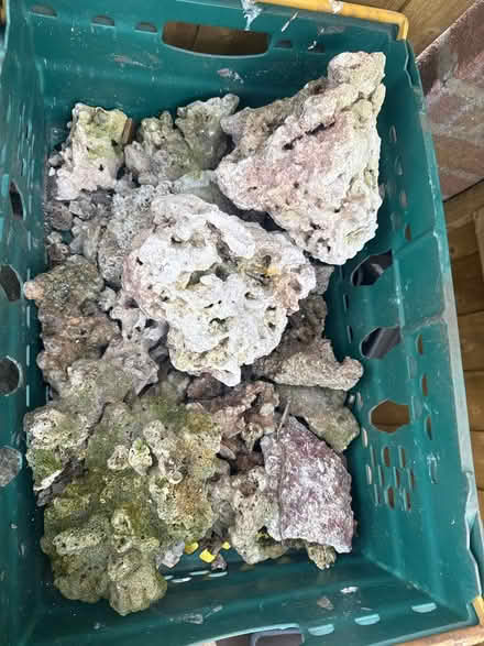 Photo of free Marine live rock (Worcester WR5) #1